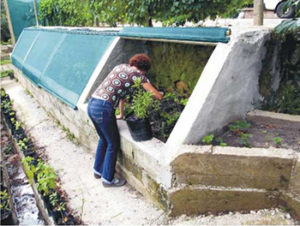 Butterfly-Breeding-Boxes