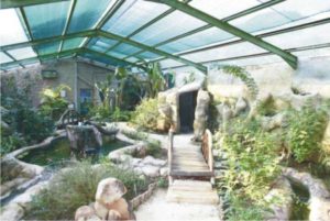 Butterfly Sanctuary