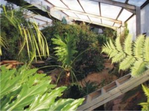 Sun City Butterfly Sanctuary